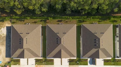 31351 Paper Birch Street Wesley Chapel FL 33545