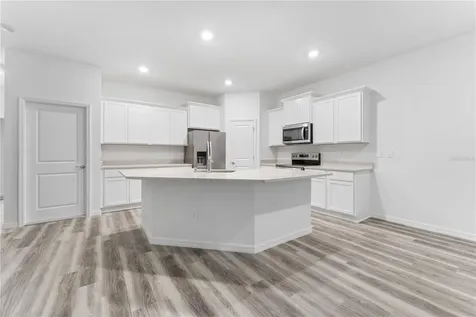 31351 Paper Birch Street Wesley Chapel FL 33545