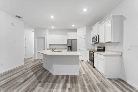 31351 Paper Birch Street Wesley Chapel FL 33545