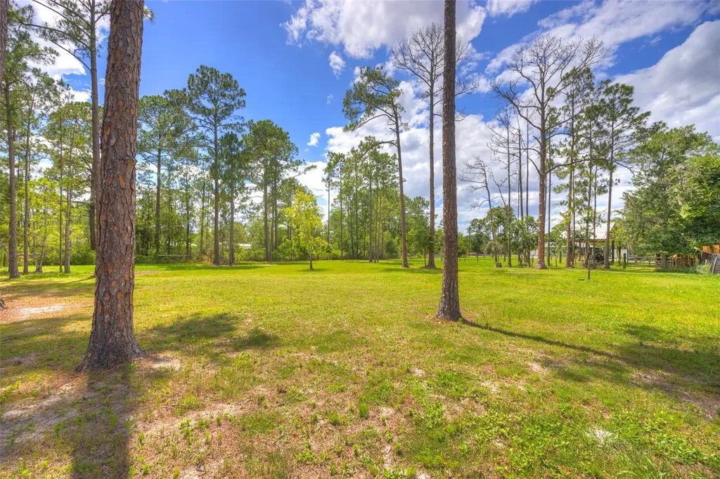 305 Padrick Avenue Deland FL 32720