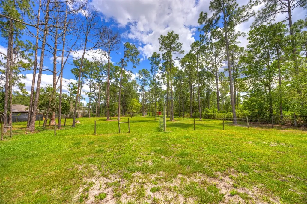 305 Padrick Avenue Deland FL 32720