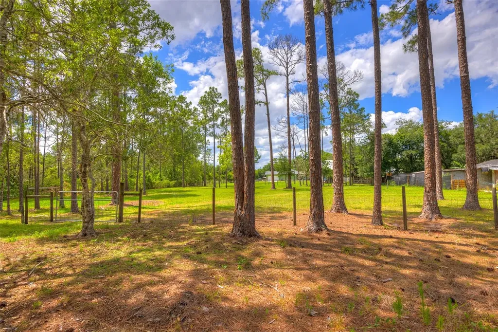 305 Padrick Avenue Deland FL 32720