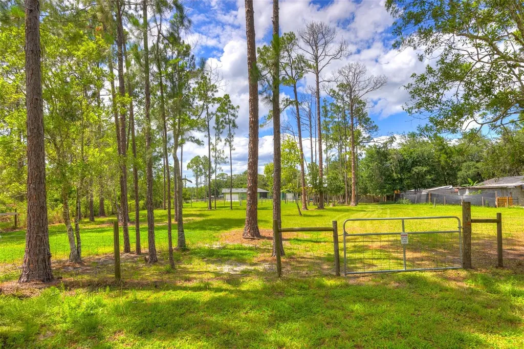 305 Padrick Avenue Deland FL 32720
