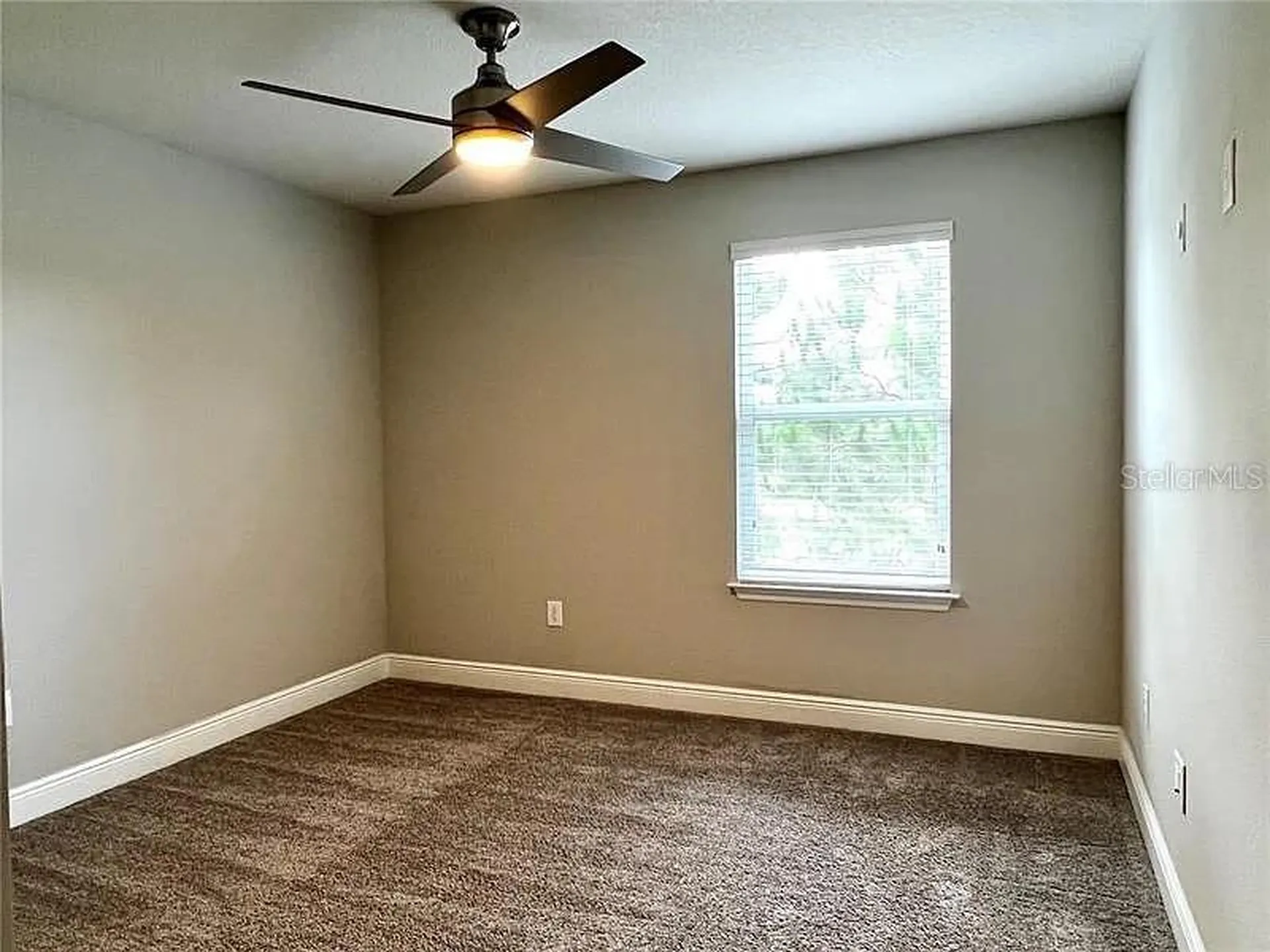 18814 Cornuta Street Lutz FL 33558