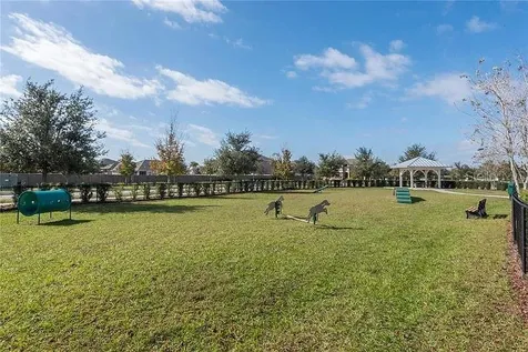 18814 Cornuta Street Lutz FL 33558