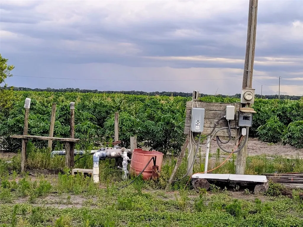 0 Mineral Branch Road Zolfo Springs FL 33890