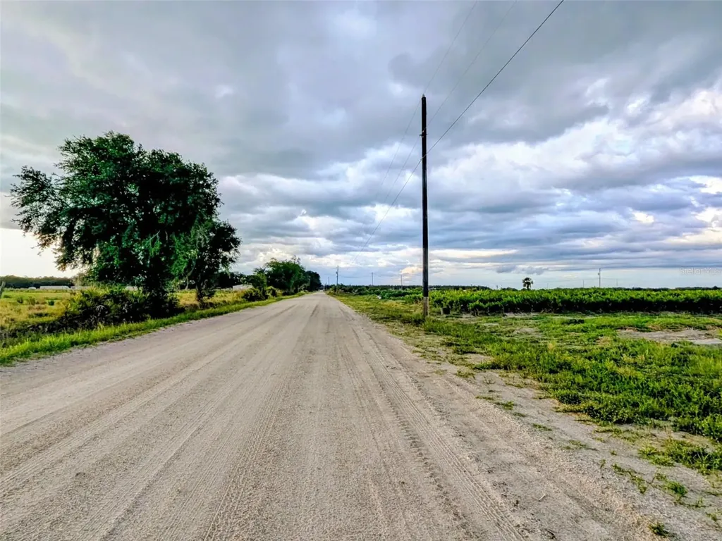 0 Mineral Branch Road Zolfo Springs FL 33890