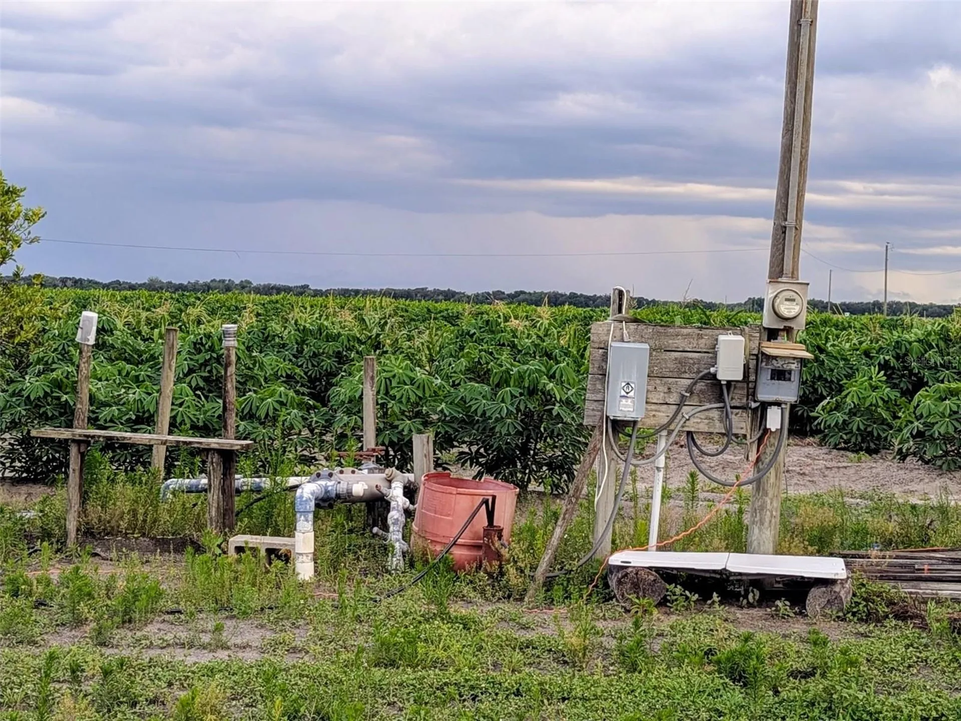 0 Mineral Branch Road Zolfo Springs FL 33890