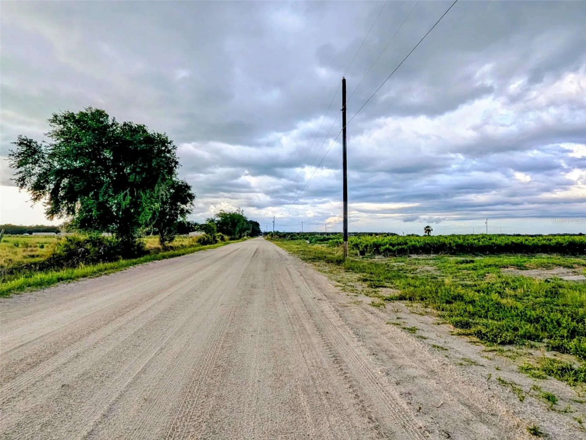 0 Mineral Branch Road Zolfo Springs FL 33890