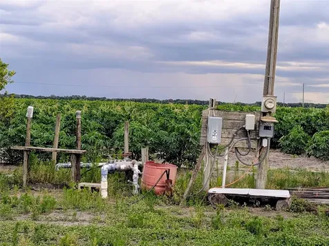0 Mineral Branch Road Zolfo Springs FL 33890