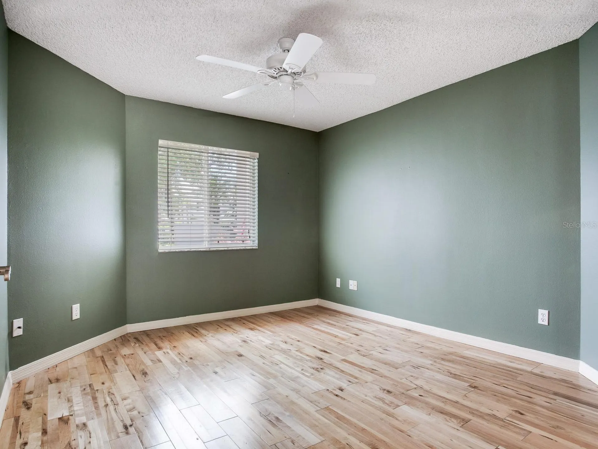 15884 Sanctuary Drive Tampa FL 33647