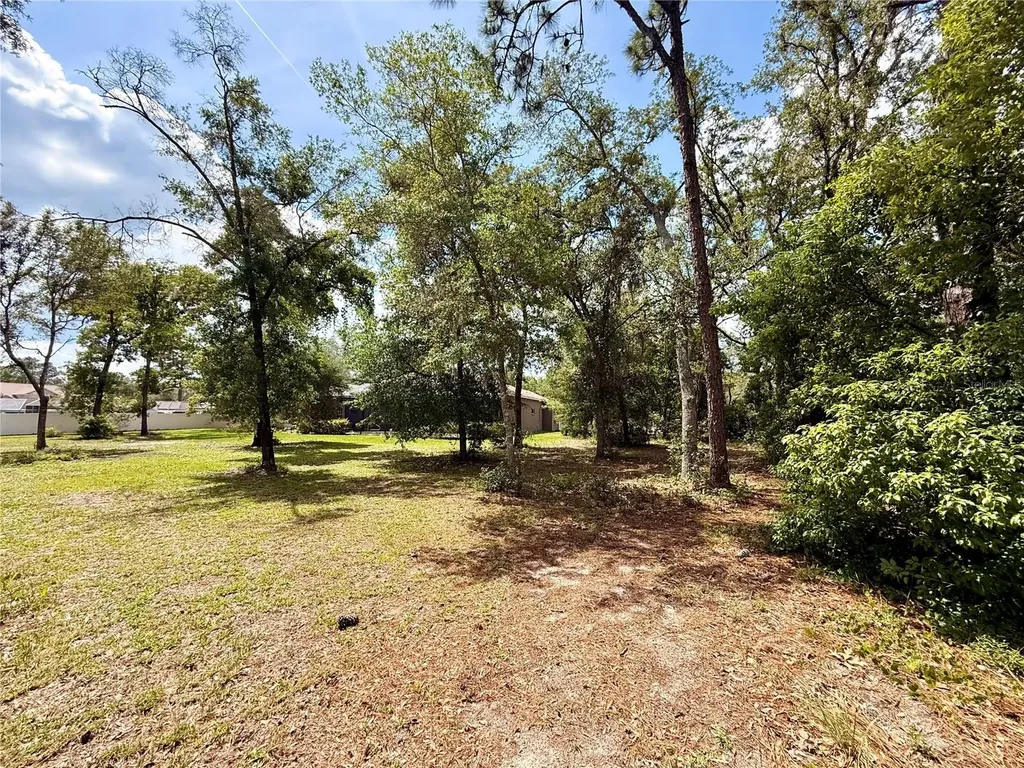 13110 Bamboo Street Spring Hill FL 34609