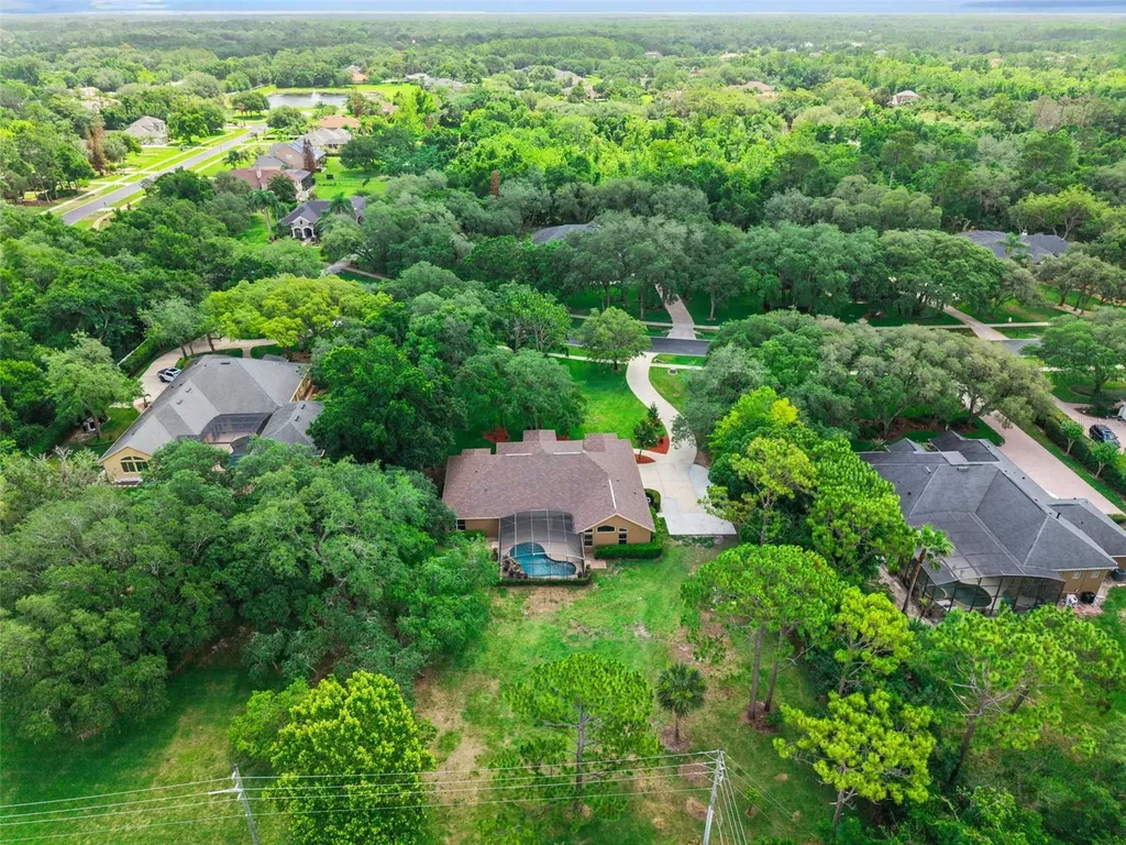 796 Mills Estate Place Chuluota FL 32766