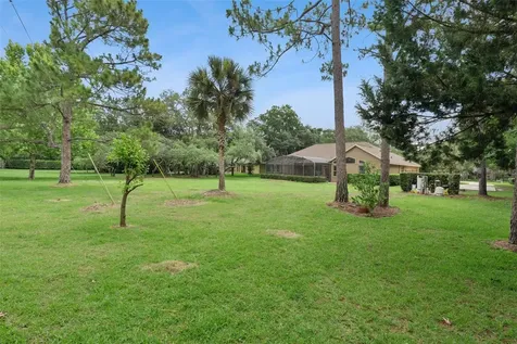 796 Mills Estate Place Chuluota FL 32766