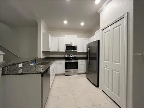 30810 Veridian Way Wesley Chapel FL 33545