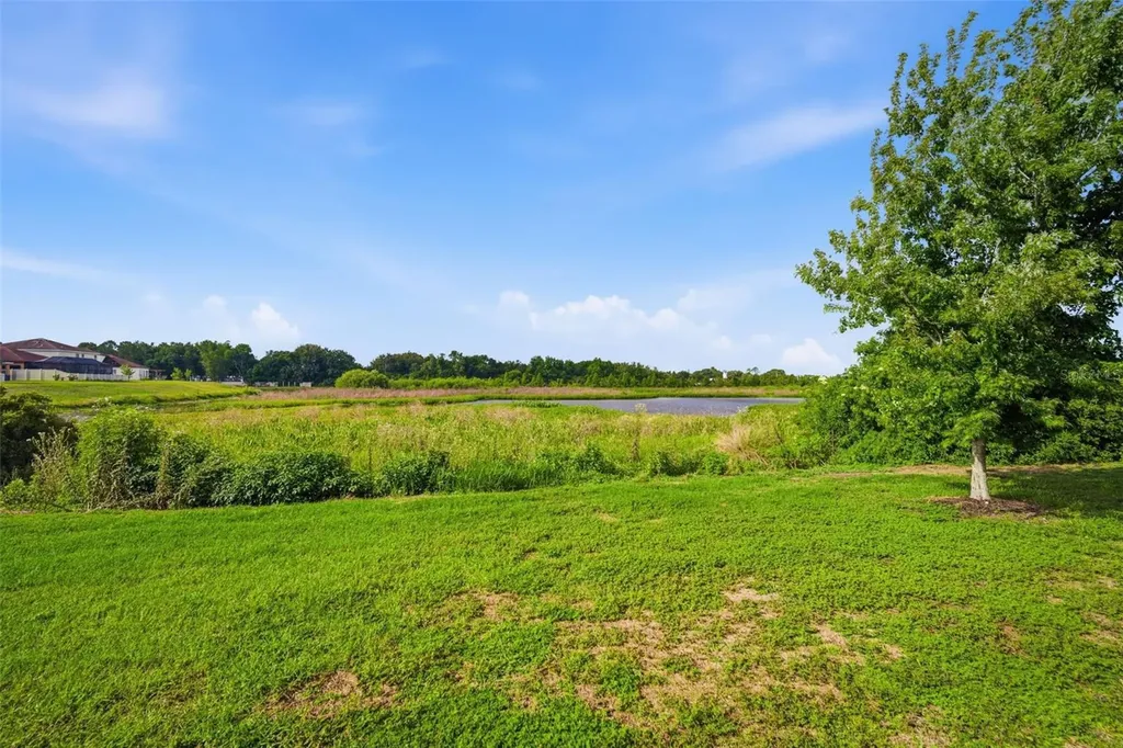 10903 Verawood Drive Riverview FL 33579