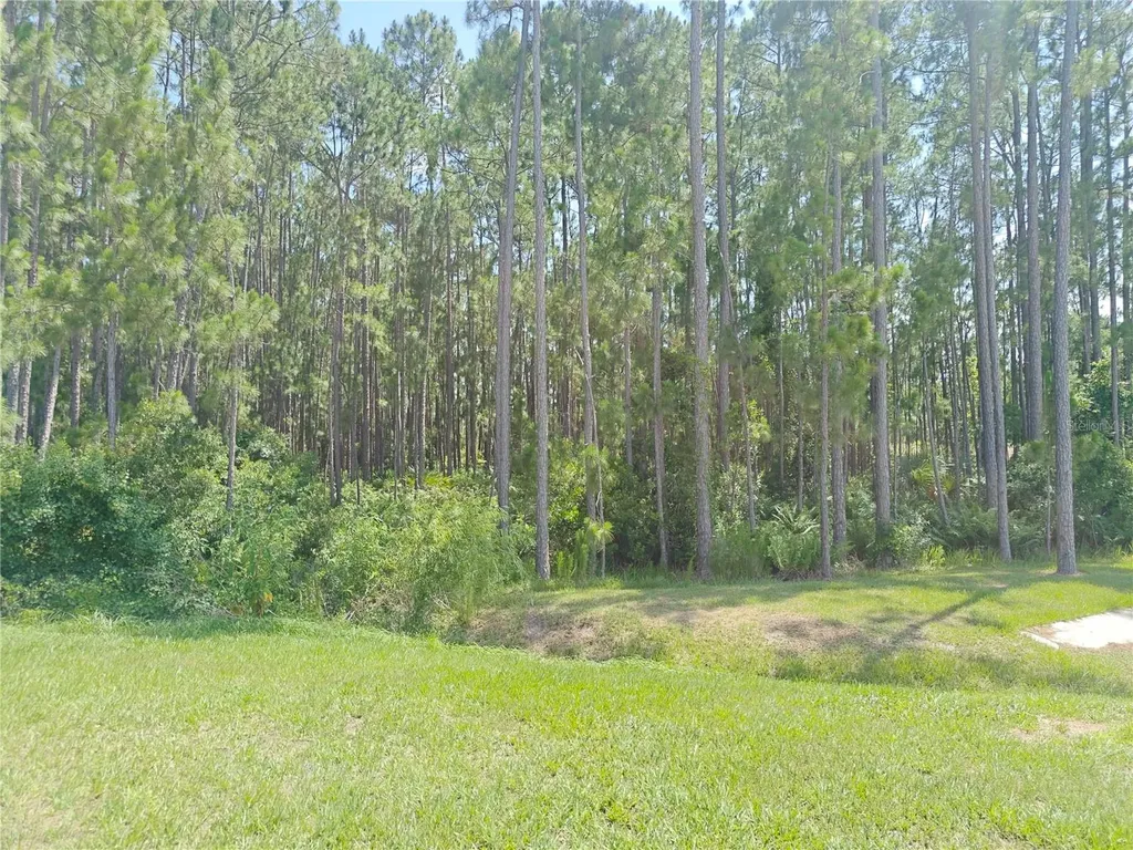 2856 Camden Way Davenport FL 33837