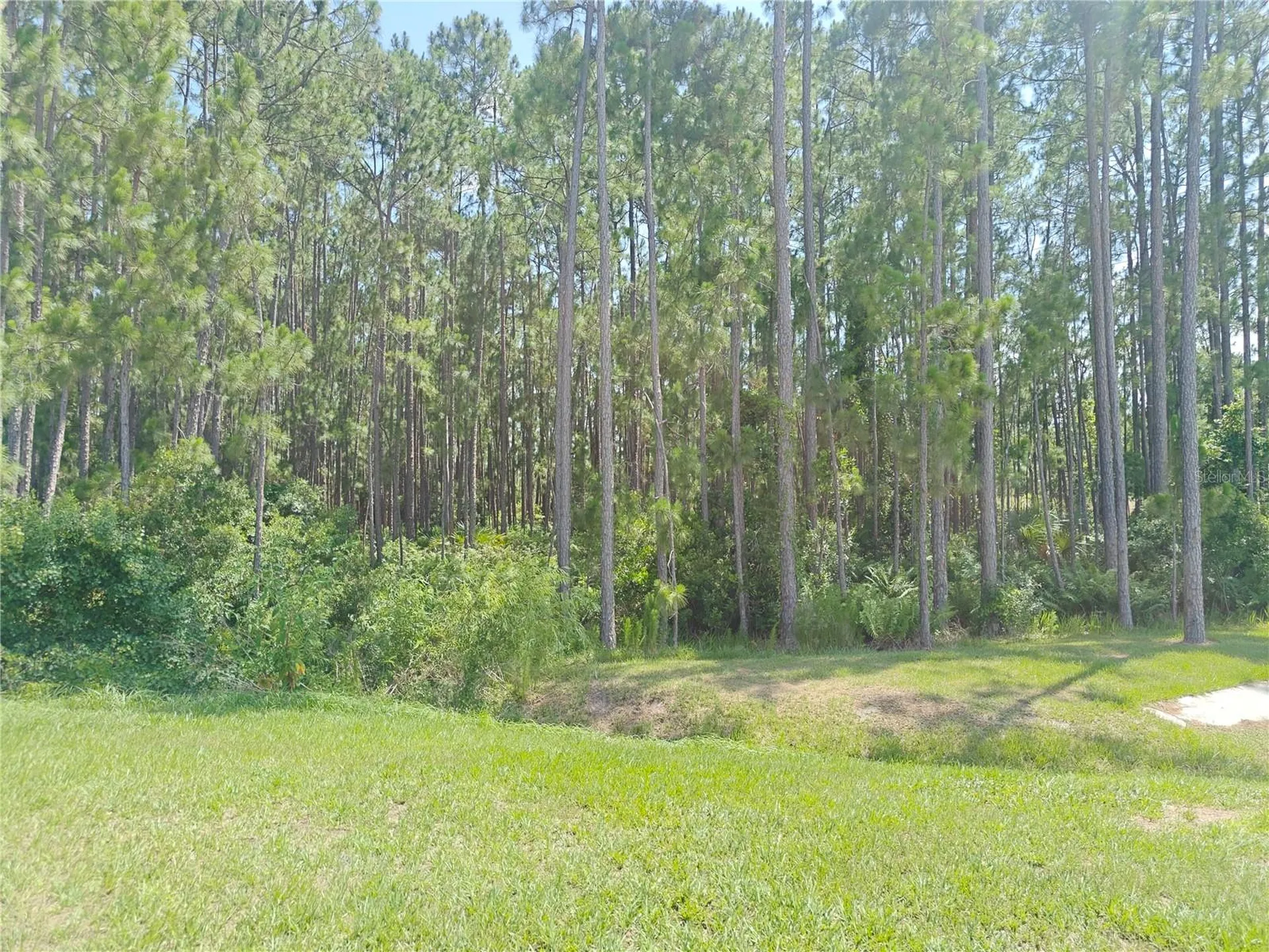 2856 Camden Way Davenport FL 33837