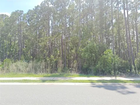 2856 Camden Way Davenport FL 33837
