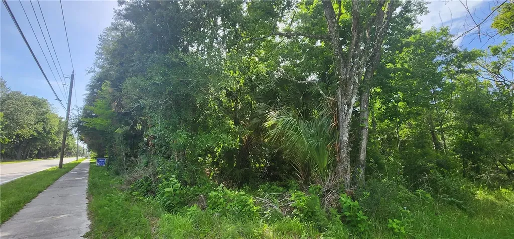 4060 Aurantia Road Mims FL 32754