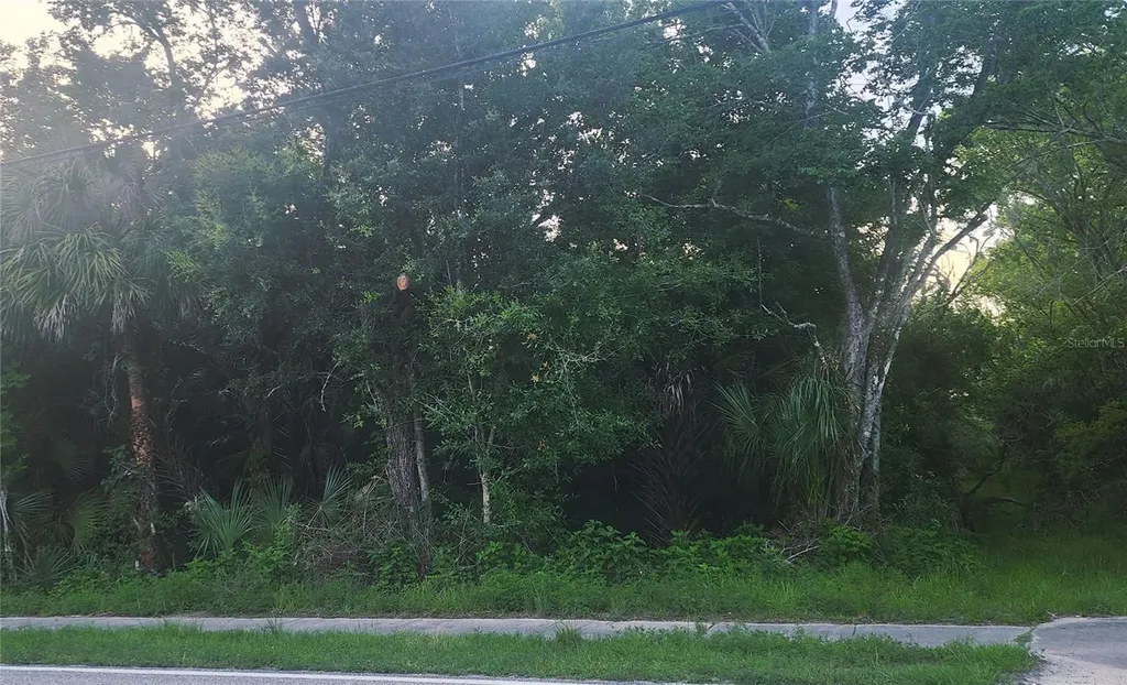 4060 Aurantia Road Mims FL 32754