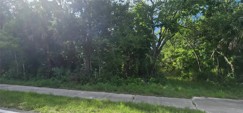 4060 Aurantia Road Mims FL 32754