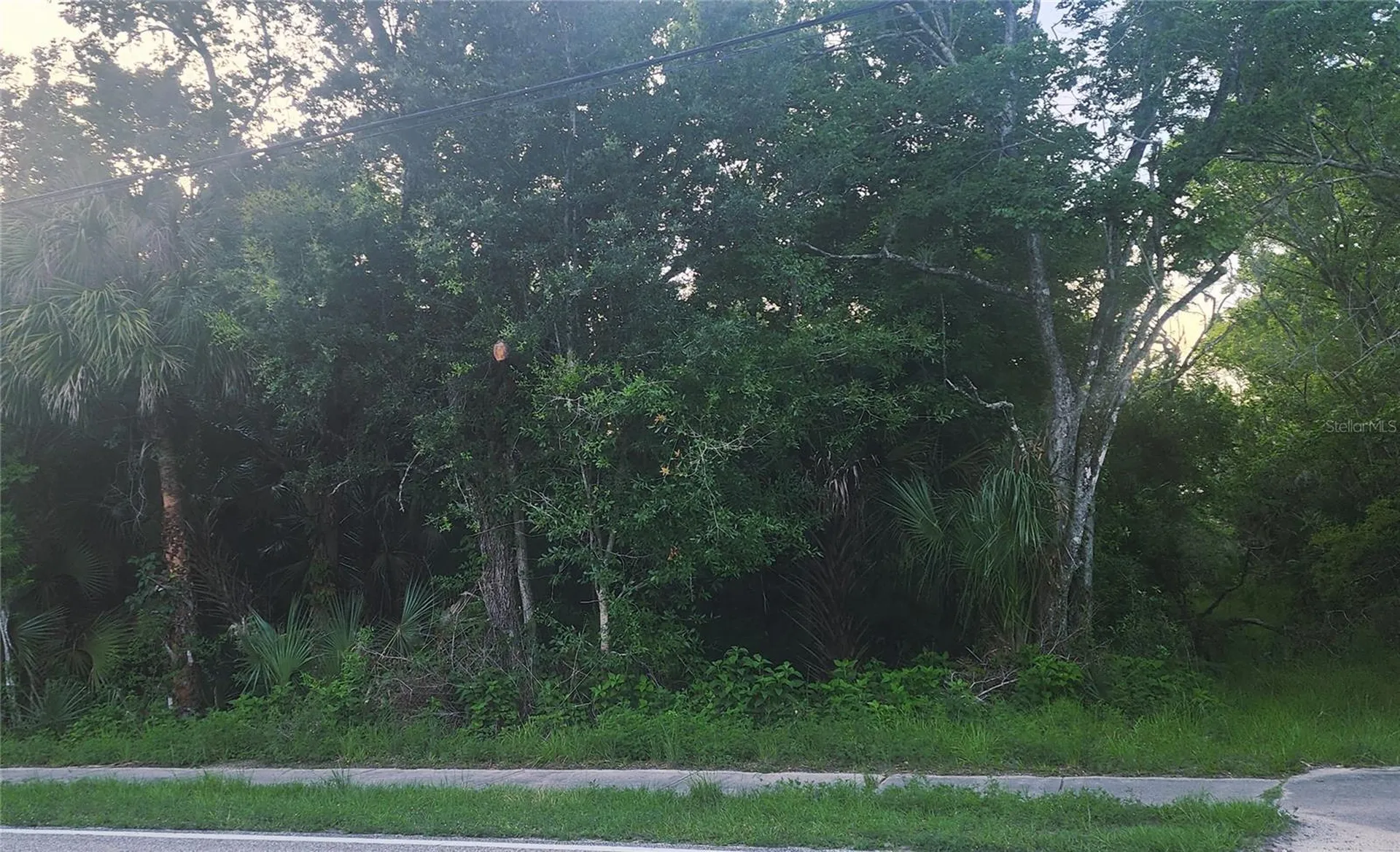 4060 Aurantia Road Mims FL 32754