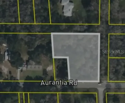 4060 Aurantia Road Mims FL 32754