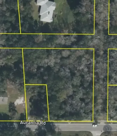 4060 Aurantia Road Mims FL 32754