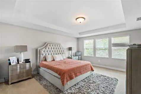 4545 Scarlet Loop Wesley Chapel FL 33544
