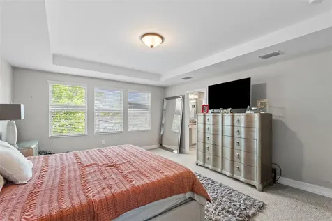 4545 Scarlet Loop Wesley Chapel FL 33544