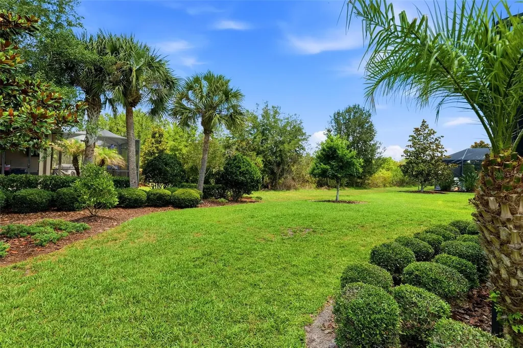 8412 Alberata Vista Drive Tampa FL 33647