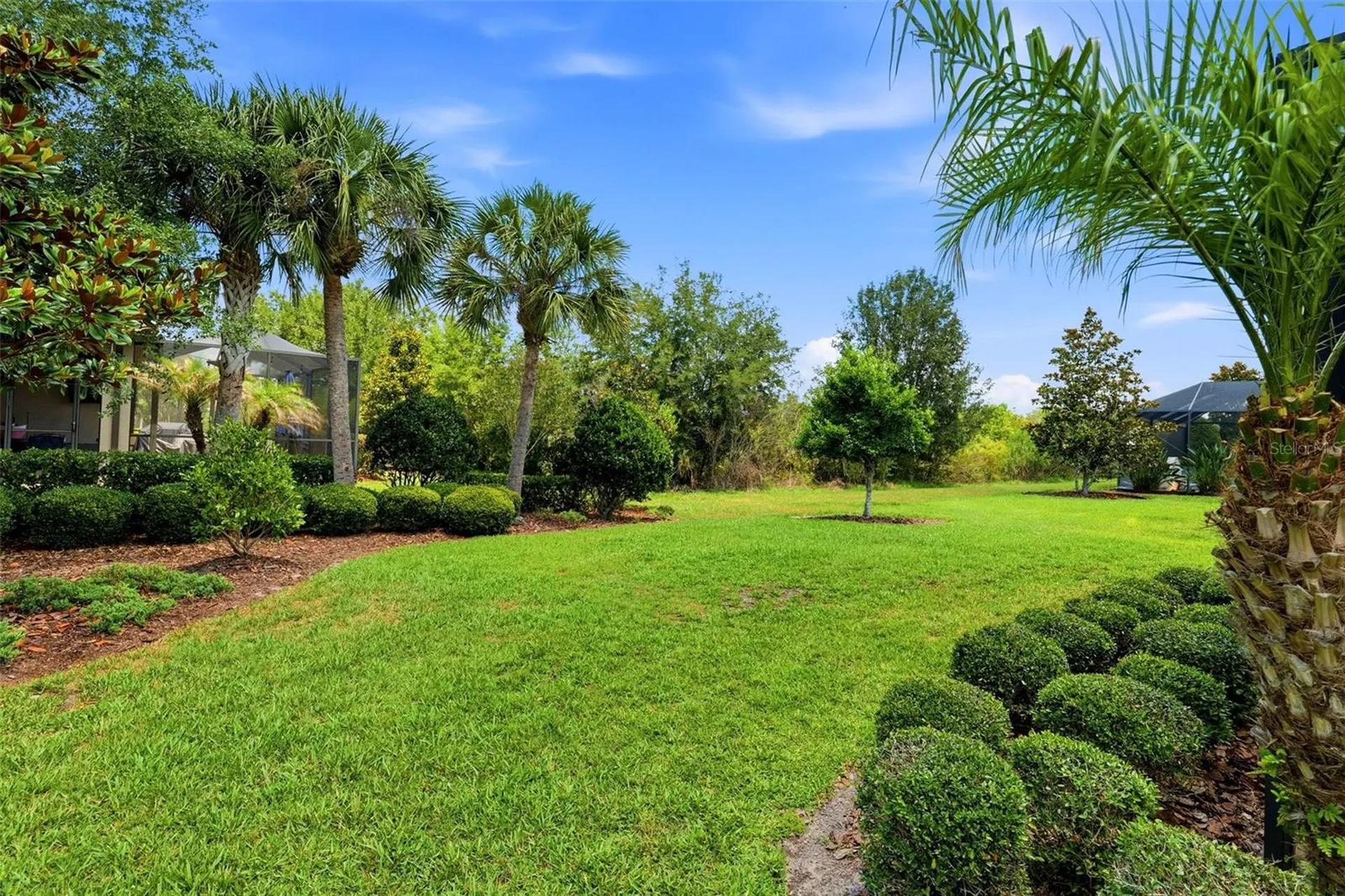 8412 Alberata Vista Drive Tampa FL 33647
