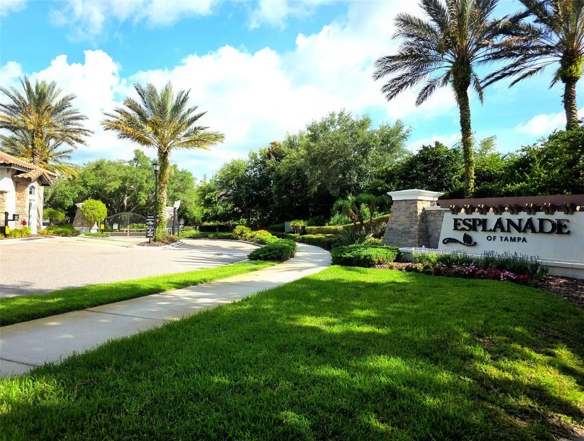 8412 Alberata Vista Drive Tampa FL 33647