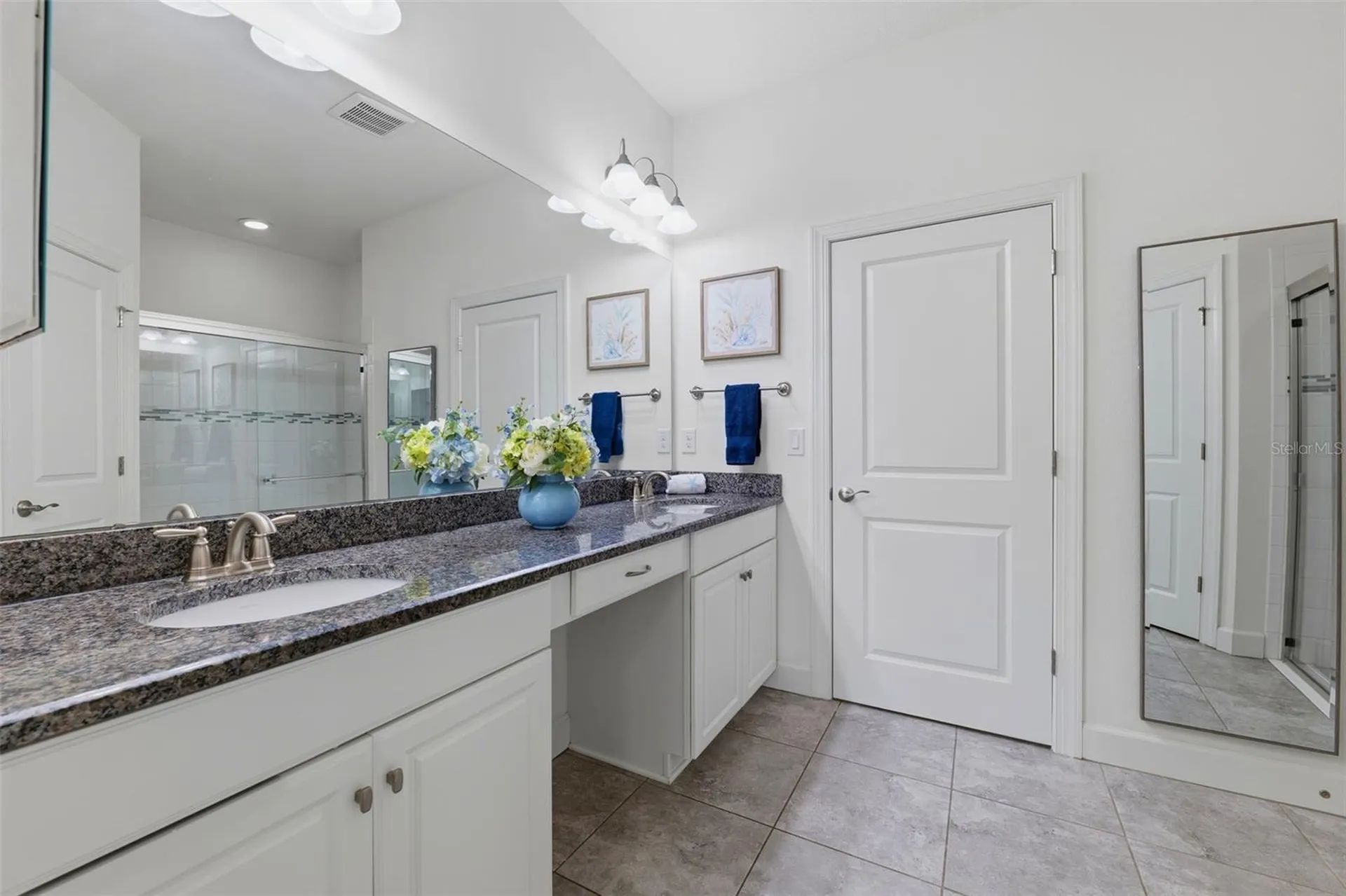 8412 Alberata Vista Drive Tampa FL 33647