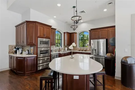 8412 Alberata Vista Drive Tampa FL 33647
