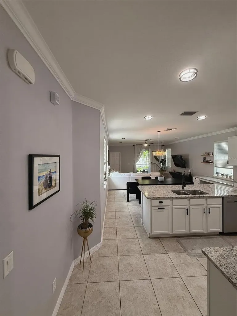 5253 Suncatcher Drive Wesley Chapel FL 33545