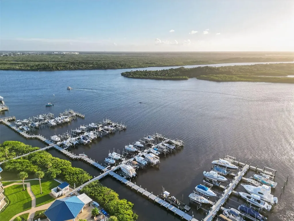 265 Minorca Beach Way New Smyrna Beach FL 32169