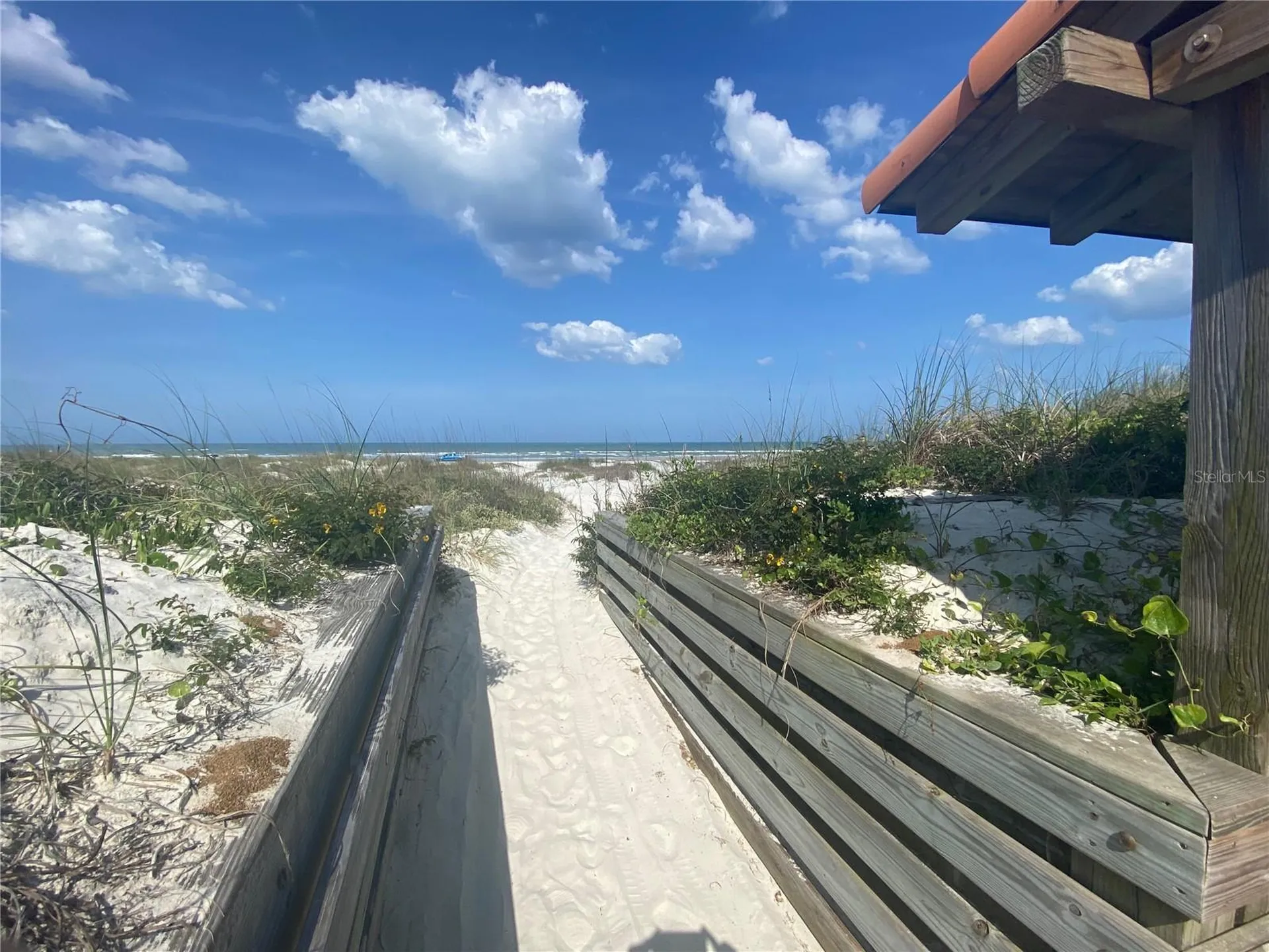 265 Minorca Beach Way New Smyrna Beach FL 32169