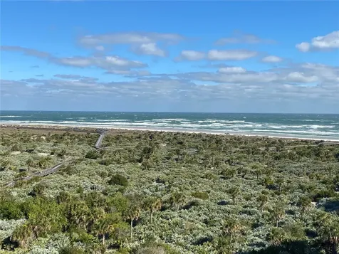 265 Minorca Beach Way New Smyrna Beach FL 32169