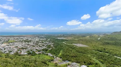 PR-748 Caimital Guayama PR 00784