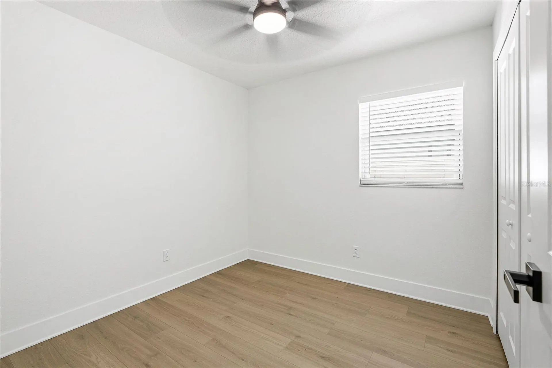 3314 W Aileen Street Tampa FL 33607