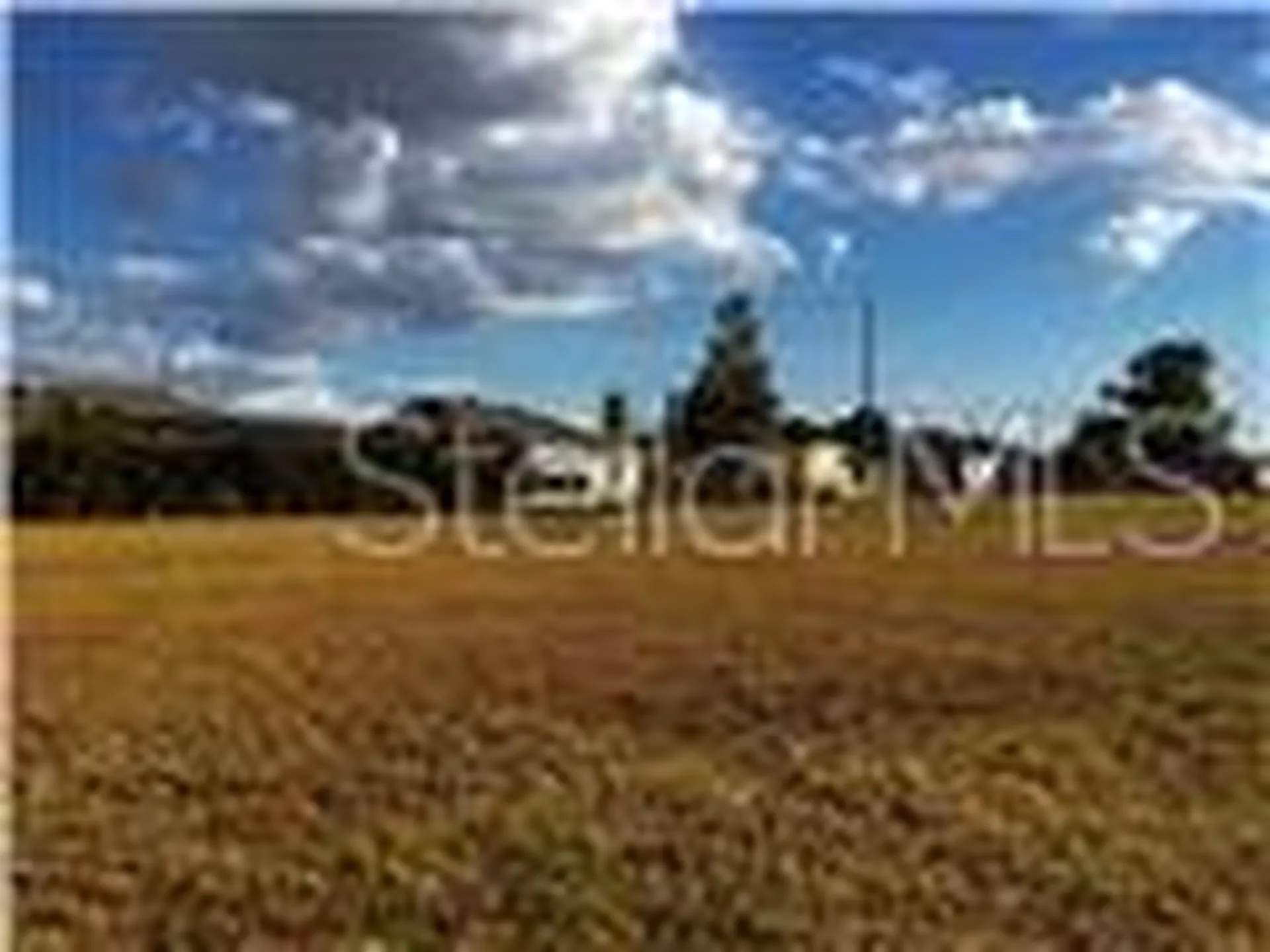 25450 Islas Drive Punta Gorda FL 33955