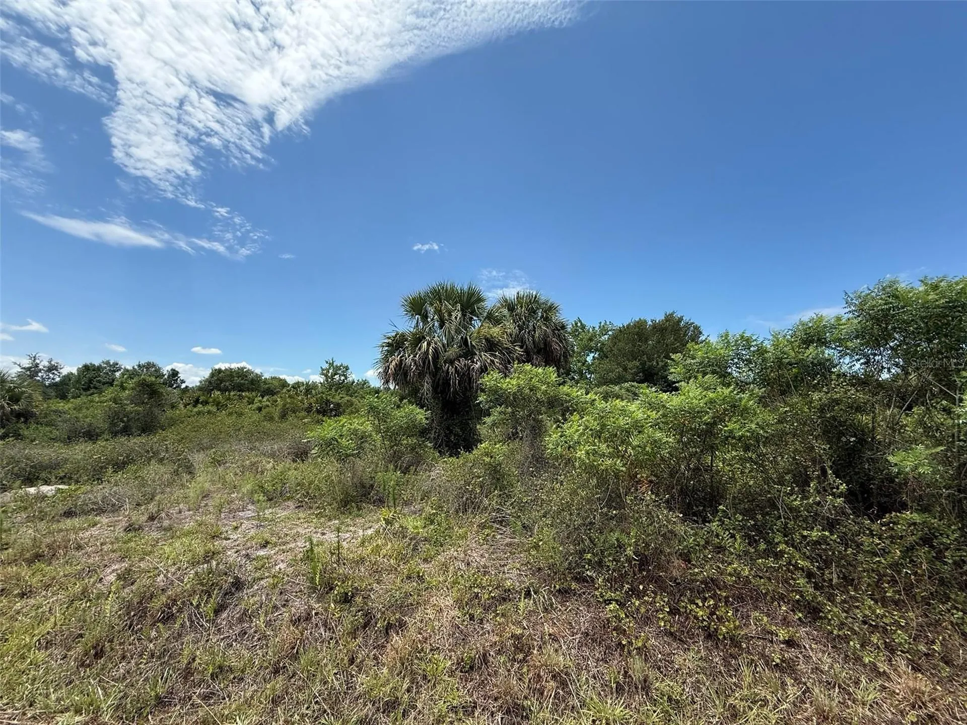 20174 NW 268th Street Okeechobee FL 34972