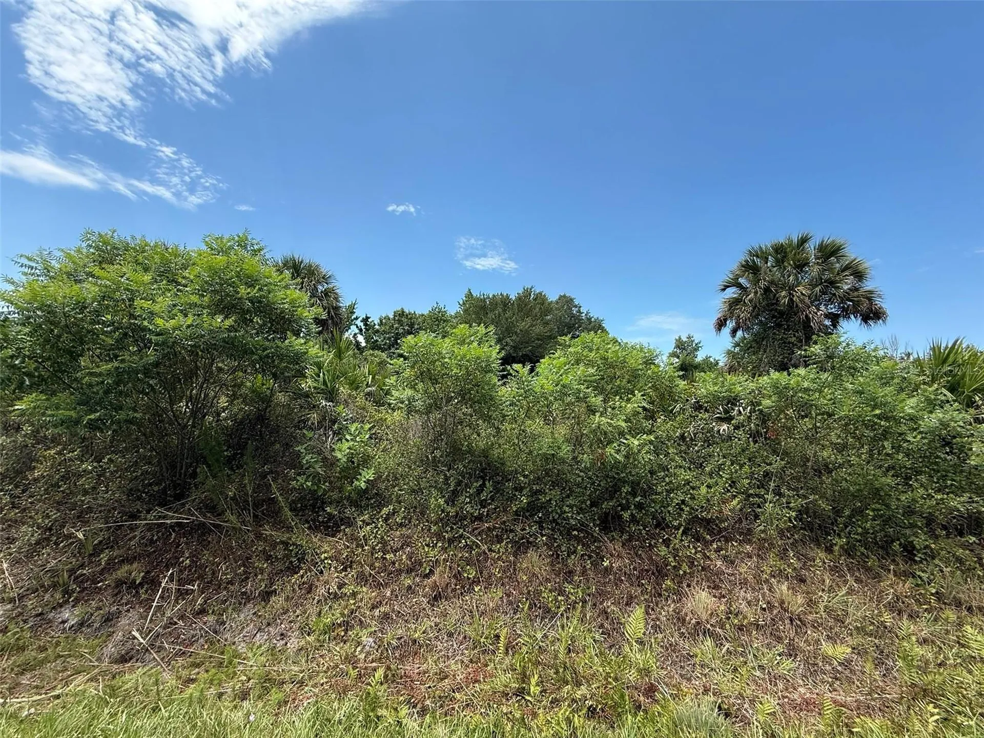 20174 NW 268th Street Okeechobee FL 34972