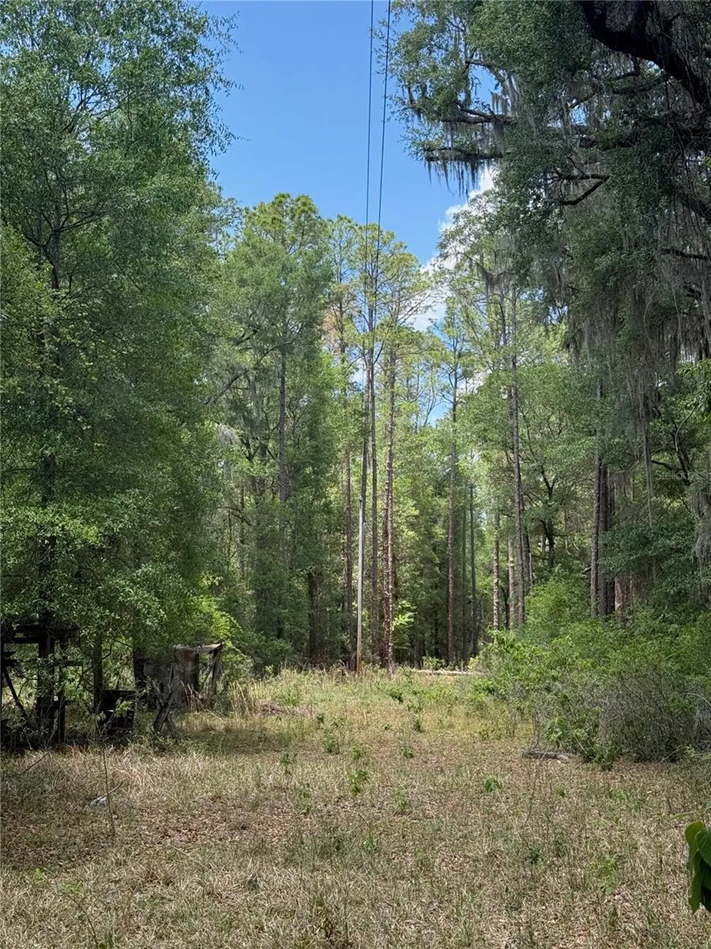 2304 NW 177th Avenue Gainesville FL 32609