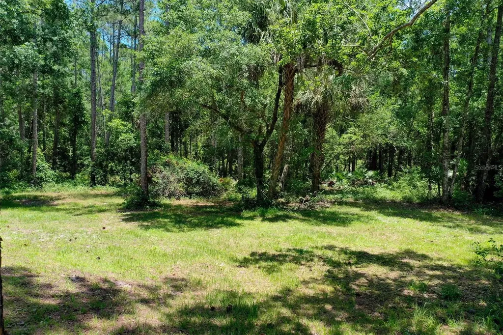3296 N Old Dixie Highway Bunnell FL 32110