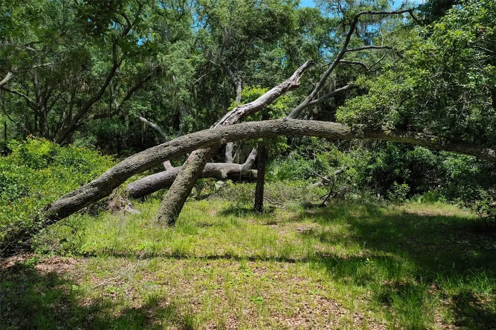 3296 N Old Dixie Highway Bunnell FL 32110