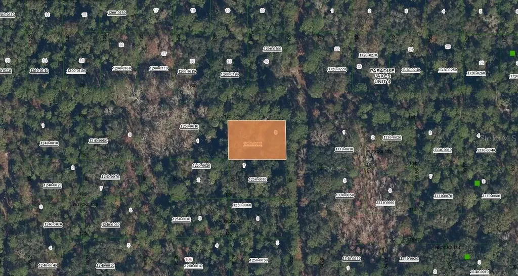 Spruce Drive Georgetown FL 32139