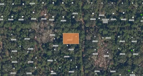 Spruce Drive Georgetown FL 32139